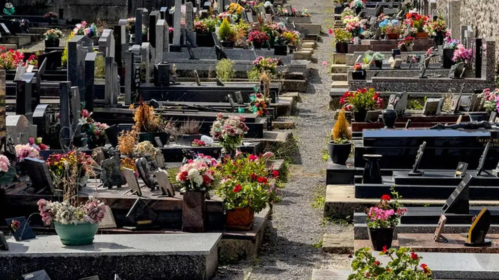 Wandale zdewastowali cmentarz. "Przynajmniej 200 pomników uszkodzonych"