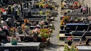 Wandale zdewastowali cmentarz. "Przynajmniej 200 pomników uszkodzonych"