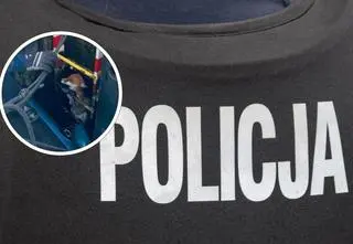 Niecodzienna interwencja policji. "Wycieńczone zwierzę trzymało się ostatniego stopnia drabinki"