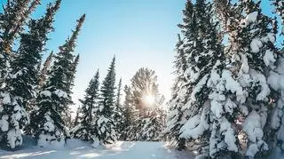 Pogoda na jutro. Zima nie odpuszcza, ale aura będzie pogodna