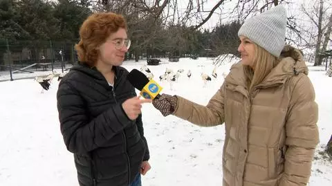 Azyl dla bocianów