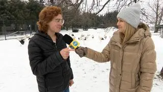 Azyl dla bocianów