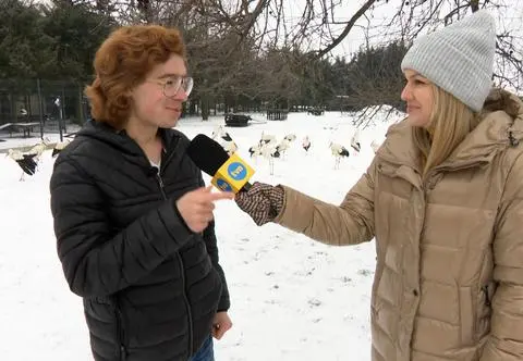 Wyjątkowy azyl dla bocianów. "13 z nich to są osobniki trwale kalekie"