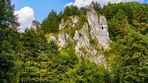 Jura Krakowsko-Częstochowska. Co można tam zobaczyć? 