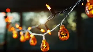 Halloween 2025 w Katowicach - atrakcje dla dorosłych i dla dzieci