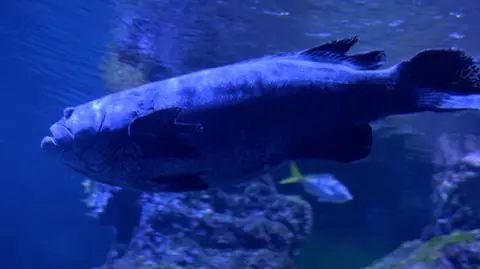 Wrocław. Nocowanie w zoo. Jakie są atrakcje dla odwiedzających?