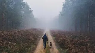 Osoba w lesie z psem