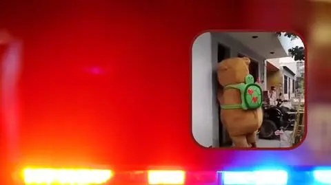 Policjant przebrał się za Kapibarę