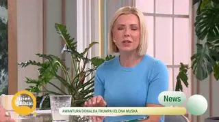 Newsy