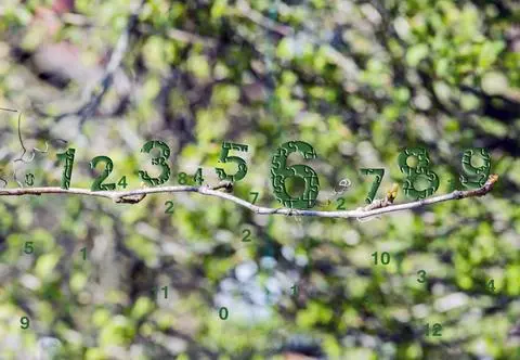 Horoskop numerologiczny na marzec. To czas tworzenia, scalania i rozpraszania