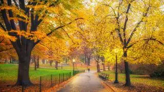 Pogoda na czwartek. Czy to powrót słonecznej aury?