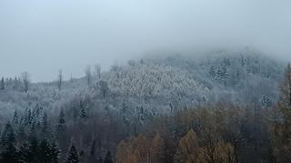 Śnieg w Bielsku-Białej (Śląskie)