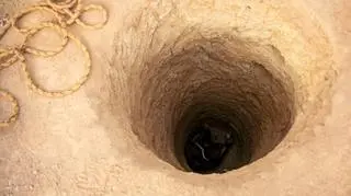 Tajemnicza studnia w katowickim lesie straszy do dziś. Legenda o czarownicy wciąż budzi grozę