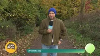 Idziemy z Gdyni do Sopotu 