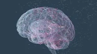 Światowy Dzień Mózgu i problemy polskiej neurologii