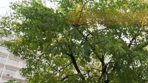 DD_20251023_Swigon_napisy