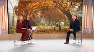 Fauna cmentarna - kto mieszka między grobami? Na jednej z nekropolii rozgościł się łoś