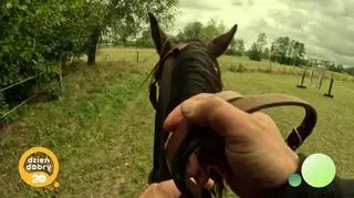 Zaklinacze koni - napisy