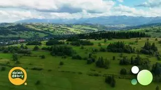 Ale bryndza! napisy