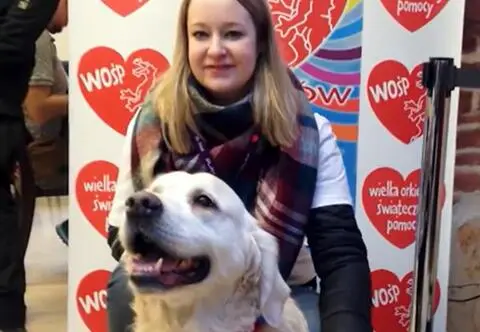 Puchaci wolontariusze na czterech łapach kwestują dla WOŚP. "Ludzie przychodzą specjalnie do ich puszeczek"