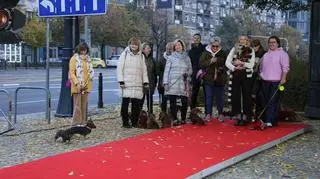 Jamnikowy pokaz mody. Za co kochamy tę rasę?