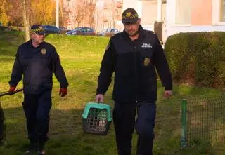 Ekopatrol. Jak funkcjonariusze pomagają zwierzętom?  