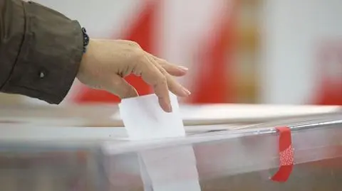 Jak głosowali Polacy za granicą?