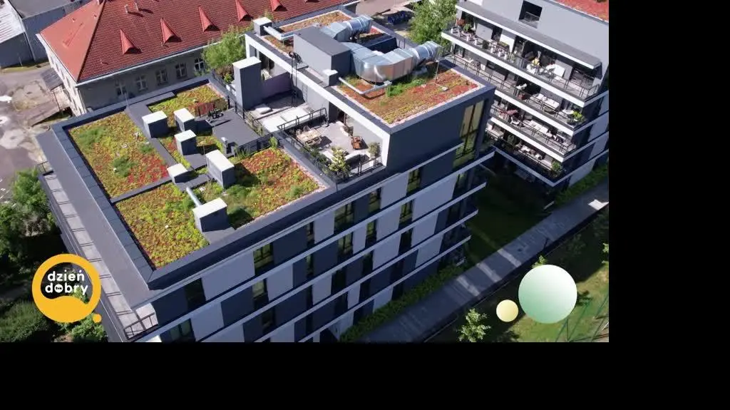 DD_20250621_Taras_rep