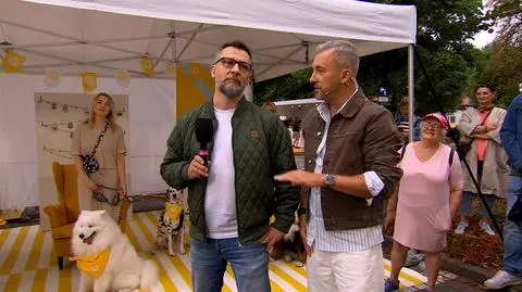 Pieski w Dzień Dobry TVN