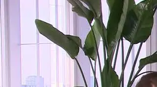 Jak korzystanie z telefonów przez rodziców wpływa na dzieci?