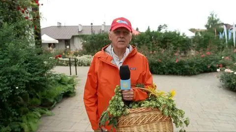 Krasnystaw - kraina mlekiem i chmielem płynąca