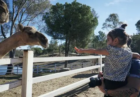Niezwykłe narodziny w gdańskim zoo. "Ich płeć nie jest znana"
