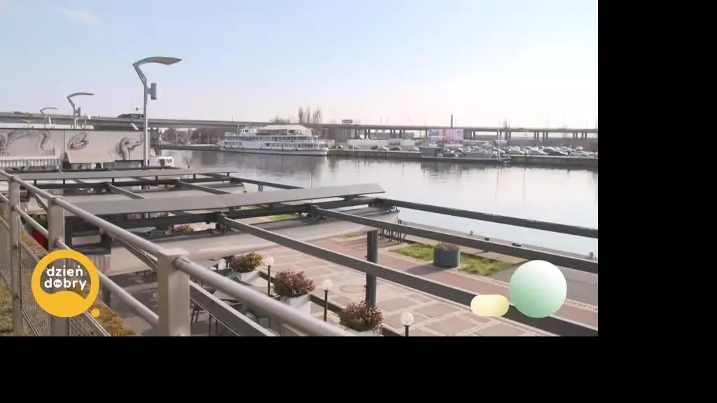 DD_20250513_Kot_rep_napisy