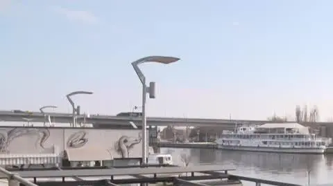 DD_20250513_Kot_rep_napisy