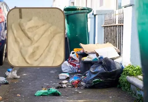 Wyrzucił na śmietnik rzeźbę. Badania wykazały, że dzieło ma 2 tysiące lat 