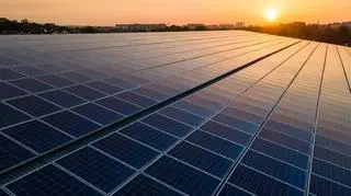 Google Doodle - kim była Mária Telkes? 