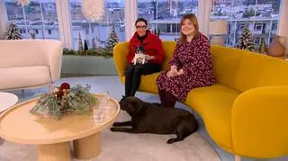 Nadwaga i otyłość u psów. W jaki sposób można sobie z nią poradzić? 