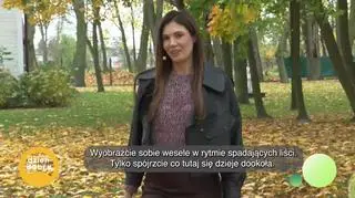 Inspiracje na ślub w klimacie jesiennym - napisy