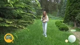 Pogoda na dziś