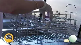 Między mlekiem a biurokracją