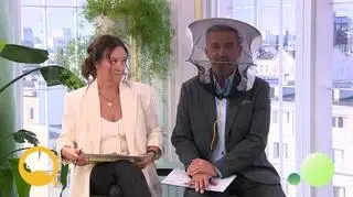 Wszystko co chcielibyście wiedzieć o pszczołach 