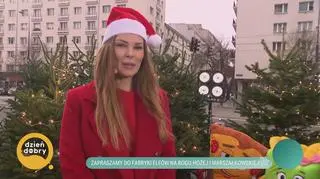 Zapraszamy do fabryki elfów 