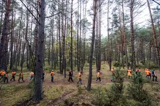 Rewitalizacja bagien w Kampinosie