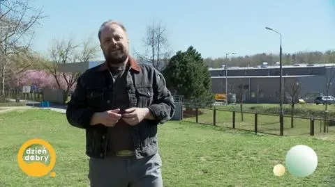 DD_20250407_Metro_rep_REP