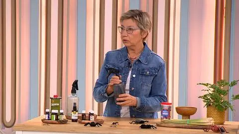dr Aleksandra Gliniewic