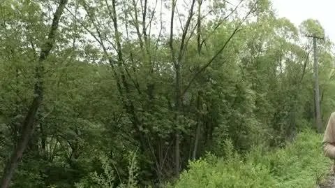 DD_20250507_Pogoda