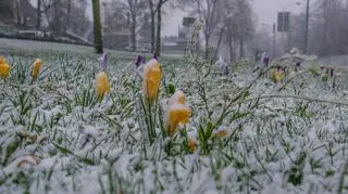 Pogoda na weekend. Jak rozpocznie się marzec? Czy będzie padał śnieg?