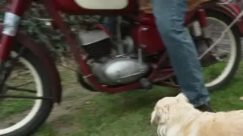 DD_20241120_MotoPies_REP_napisy