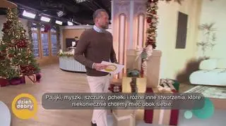 Szkodniki zimą w domu – jak z nimi wygrać? napisy