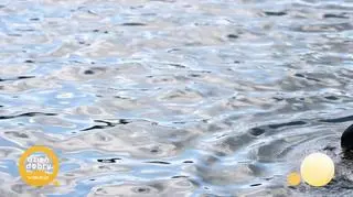 Kąpiemy się w Sekwanie 